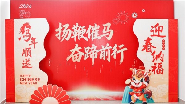 揚鞭催馬開新局，奮蹄前行譜華章——特力公司2025年度總結表彰大會圓滿舉行